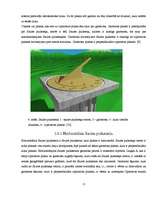 Referāts 'Saules pulkstenis Tukuma Raiņa ģimnāzijai', 11.