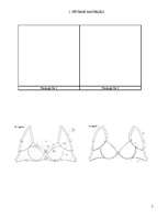 Referāts 'Krūšturu sortimentam izmantojamo materiālu izpēte', 5.