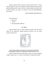 Prakses atskaite 'Prakse mārketingā', 20.