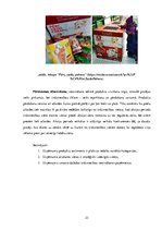 Prakses atskaite 'Prakse mārketingā', 23.