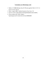 Prakses atskaite 'Prakse mārketingā', 28.