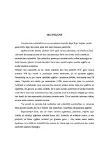 Referāts 'Sieviešu vasaras apģērbu/modes reprezentācija žurnālā "Zeltene" 1938.gadā', 17.