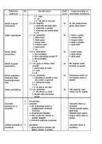 Konspekts 'Sporta stundas konspekts 11.klasei', 3.