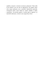 Konspekts 'Uzņēmuma uzbūve', 13.