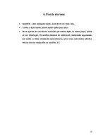 Referāts 'Zigmunds Freids', 10.