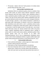 Referāts 'Garantiju veidi un to izmantošana starptautiskajos norēķinos', 5.