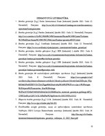 Referāts 'Garantiju veidi un to izmantošana starptautiskajos norēķinos', 15.