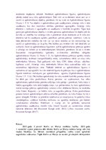 Konspekts 'Eksāmens mediācijā', 5.