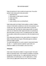 Referāts 'Nauda Latvijā no senatnes līdz mūsdienām', 6.