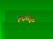 Prezentācija 'Polija', 1.