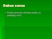 Prezentācija 'Polija', 3.