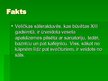 Prezentācija 'Polija', 11.