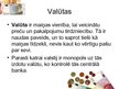 Prezentācija 'Naudas kurss. Naudas maiņa', 5.