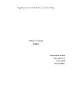 Konspekts 'Kašķis', 1.