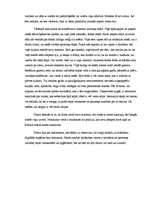 Eseja 'Filmas "Paranoja" semiotiskā analīze', 6.