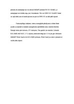 Referāts 'Sauso maisījumu rūpnīca "Sakret"', 9.