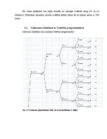 Referāts 'Lēmumu pieņemšanas koki', 10.
