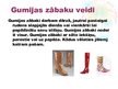 Prezentācija 'Gumijas zābaki', 3.