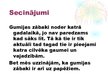 Prezentācija 'Gumijas zābaki', 7.