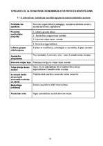 Referāts 'Bērnu no riska ģimenēm labvēlīgas attīstības veicināšana', 19.