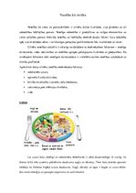 Konspekts 'Veselība kā vērtība', 1.