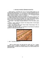 Referāts 'Atkritumu pārstrādes vai materiālu atgūšanas novērtējums produktam - spogulim', 4.