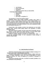 Referāts 'Atkritumu pārstrādes vai materiālu atgūšanas novērtējums produktam - spogulim', 11.