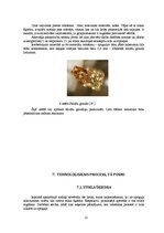 Referāts 'Atkritumu pārstrādes vai materiālu atgūšanas novērtējums produktam - spogulim', 12.