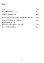 Referāts 'SIA "Lettglas" Līvānu stikla fabrika', 2.