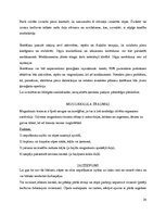 Prakses atskaite 'Trenera prakses pārskats Aizkraukles novada Sporta skolā', 24.