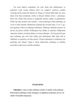 Referāts 'Pulksteņi', 2.