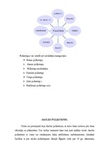 Referāts 'Pulksteņi', 3.