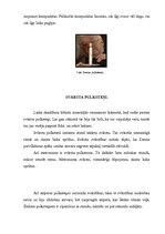 Referāts 'Pulksteņi', 6.