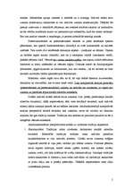 Konspekts 'Interpretīvā pieeja', 2.