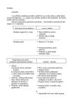 Referāts 'Stafete 4x400', 6.