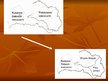 Prezentācija 'Latvijas teritoriālā dalījuma izmaiņas', 11.
