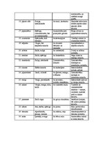 Konspekts 'Reklāmas psiholoģija. Uztveres veids - oža', 2.