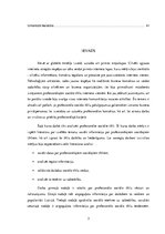 Referāts 'Profesionālie sociālie tīkli', 3.