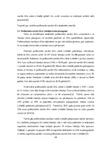 Referāts 'Profesionālie sociālie tīkli', 29.