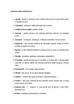 Referāts 'Jauniešu un pusaudžu pašnāvības, to cēloņi un novēršana', 5.