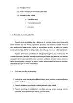 Referāts 'Jauniešu un pusaudžu pašnāvības, to cēloņi un novēršana', 18.