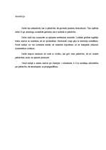 Referāts 'Jauniešu un pusaudžu pašnāvības, to cēloņi un novēršana', 37.