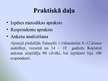 Referāts 'Jauniešu un pusaudžu pašnāvības, to cēloņi un novēršana', 53.