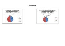 Prakses atskaite 'Pirmsskolas pedagoga kvalifikācijas prakses atkaite', 8.