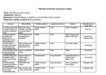 Prakses atskaite 'Pirmsskolas pedagoga kvalifikācijas prakses atkaite', 20.