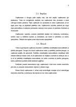 Prakses atskaite 'Kvalifikācijas prakses atskaite SIA "Apģērbi"', 9.