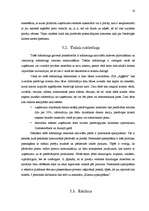 Prakses atskaite 'Kvalifikācijas prakses atskaite SIA "Apģērbi"', 16.