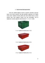 Referāts 'Cieto sieru iepakošanas iespējas', 27.