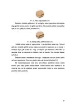 Referāts 'Cieto sieru iepakošanas iespējas', 29.