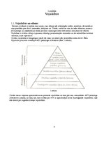 Referāts 'Vajadzības, labumi, derīgums', 3.